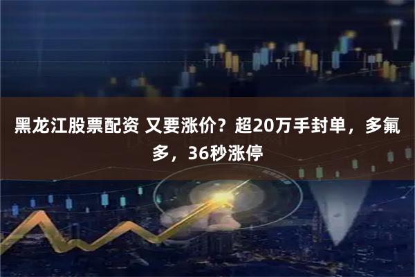 黑龙江股票配资 又要涨价？超20万手封单，多氟多，36秒涨停